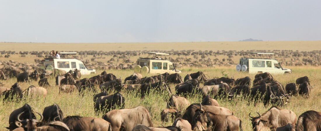 Serengeti National Park: